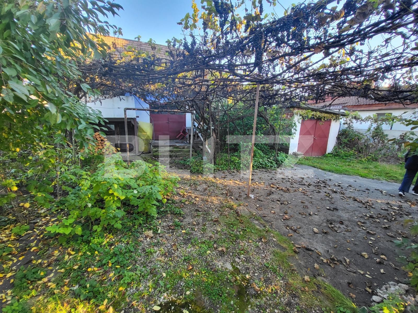 Casa de vânzare 5 camere Carolina Apulum - 99804CV | BLITZ Alba Iulia | Poza19