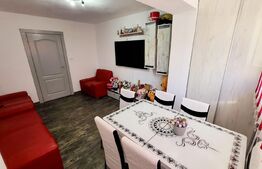 Apartament de 2 camere, parter, 50 mp, Exterior Vest 