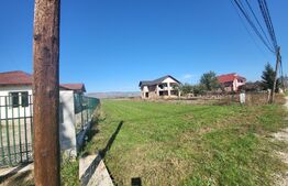 Teren intravilan, 4200 mp, zona Micesti Centru