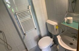 Garsoniera de 30 mp, decomandata, zona Cetate