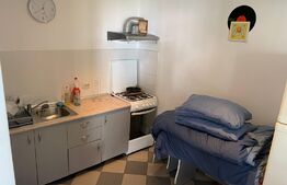 Garsoniera de 30 mp, decomandata, zona Cetate