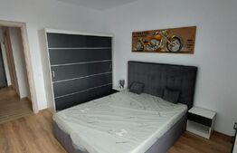 Apartament 2 camere, modern, etaj intermediar, Ampoi 3