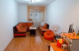 Apartament 2 camere, finisat, zona Cetate