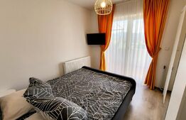 Garsoniera de 37 mp, parcare, in Sebes, Drumul Petrestiului