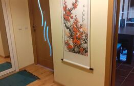 Garsoniera de 40 mp, decomandata, Aurel Vlaicu