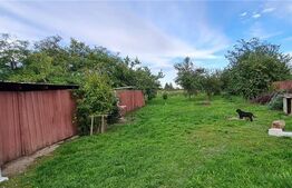 Casa cu 2 camere, 85 mp, teren de 2970 mp, Mailat