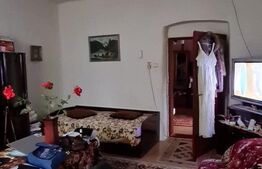 Casa cu 2 camere, 85 mp, teren de 2970 mp, Mailat