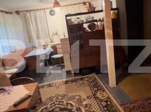 Casa de vânzare 4 camere 3 Insule - 101042CV | BLITZ Arad | Poza7