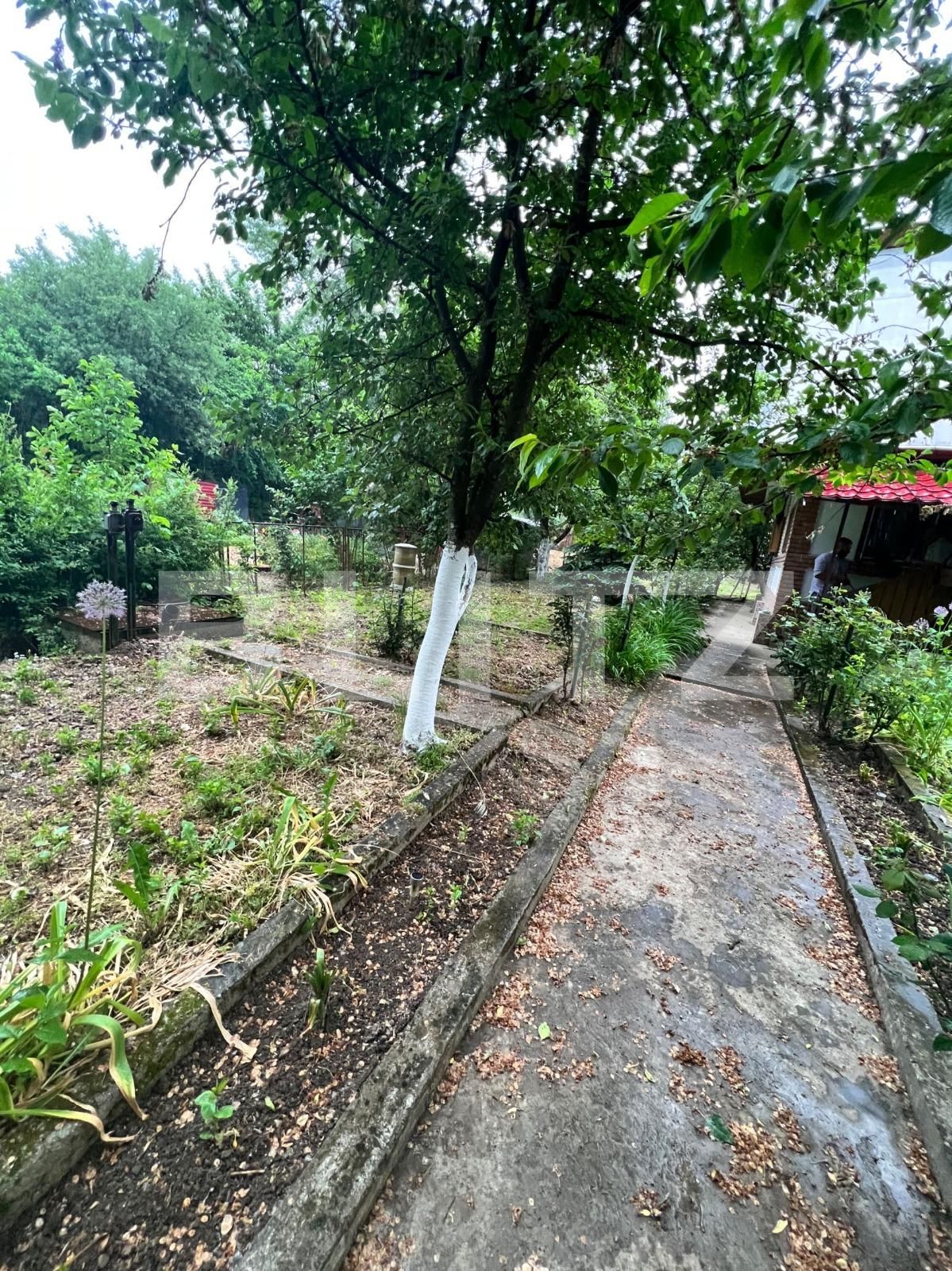 Casa de vânzare 4 camere 3 Insule - 101042CV | BLITZ Arad | Poza5