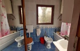 Casa cu 2 camere, 60 mp, teren de 640 mp, garaj, 3 Insule