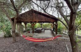 Casa cu 2 camere, 60 mp, teren de 640 mp, garaj, 3 Insule