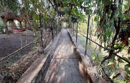 Casa cu 2 camere, 60 mp, teren de 640 mp, garaj, 3 Insule