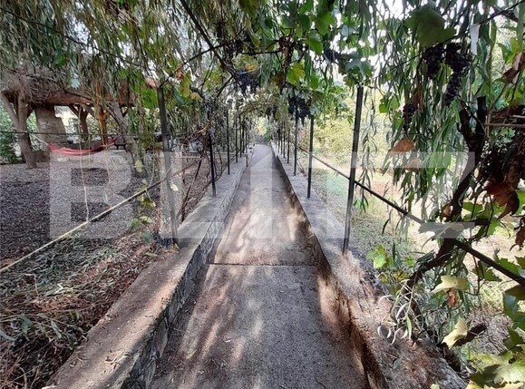 Casa de vânzare 2 camere 3 Insule - 101067CV | BLITZ Arad | Poza9