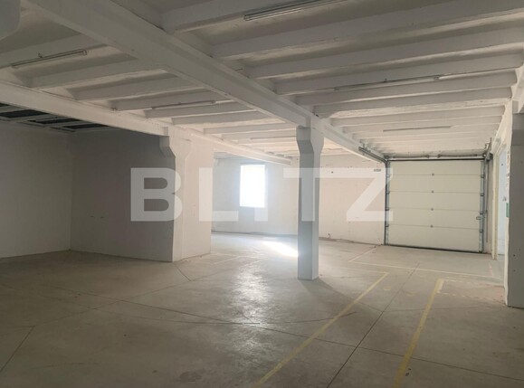 Spațiu industrial de închiriat Sud-Vest - 101322SII | BLITZ Arad | Poza1
