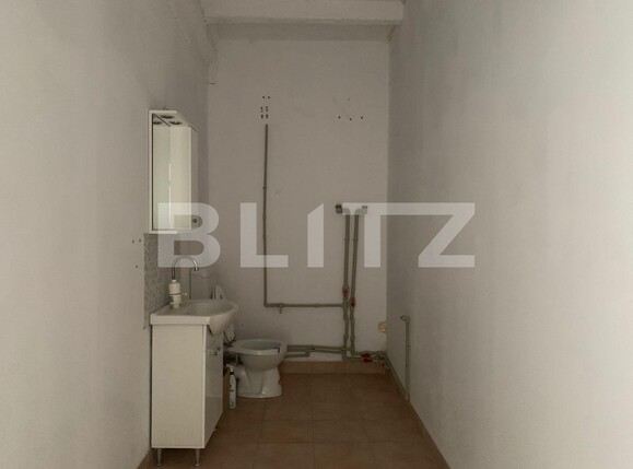 Spațiu industrial de închiriat Exterior Vest - 101429SII | BLITZ Arad | Poza4