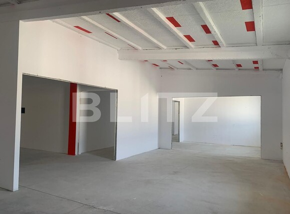 Spațiu industrial de închiriat Exterior Vest - 101429SII | BLITZ Arad | Poza1