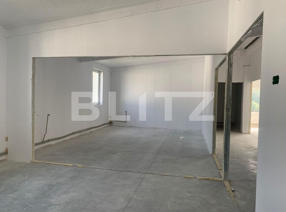 Spațiu industrial de închiriat Exterior Vest - 101429SII | BLITZ Arad | Poza3