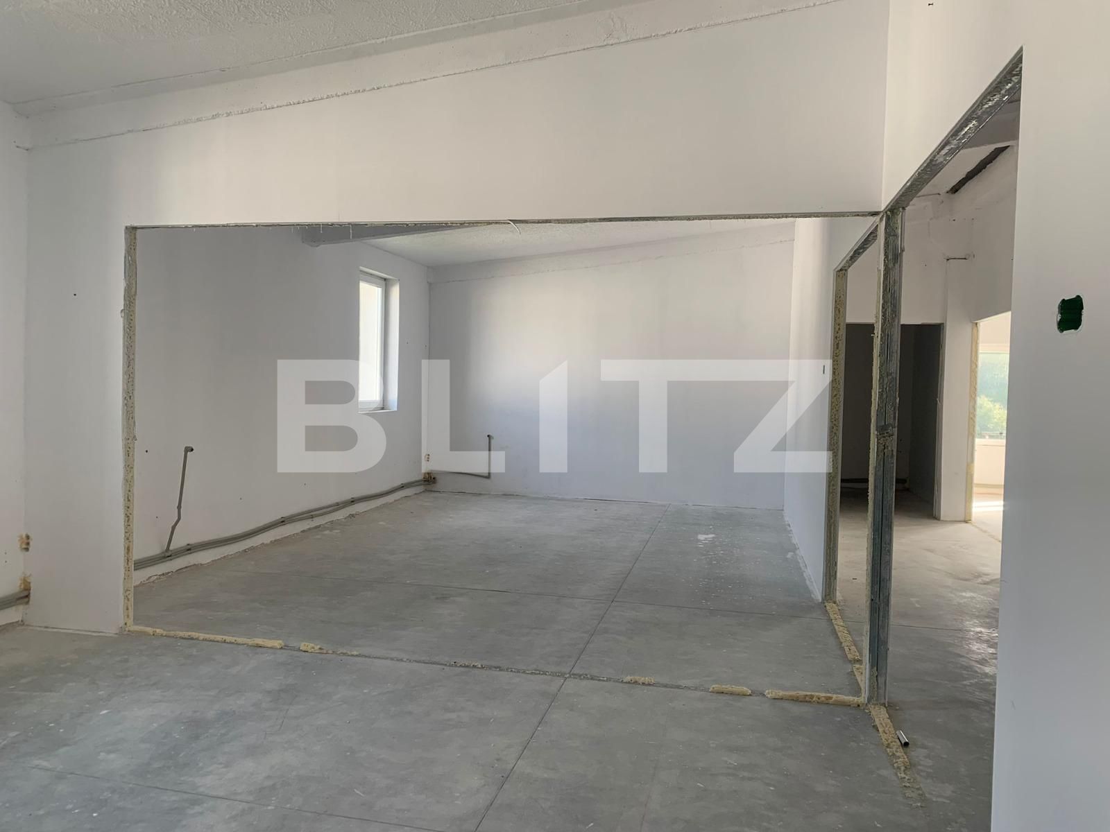 Spațiu industrial de închiriat Exterior Vest - 101429SII | BLITZ Arad | Poza3