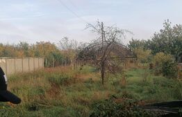 Casa individuala, 75 mp utili, teren 1368 mp, Aradul Nou