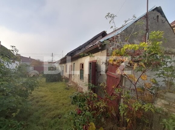 Casa de vânzare 2 camere Aradul Nou - 101482CV | BLITZ Arad | Poza2