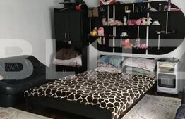 Casa individuala, 50 mp utili, teren 295 mp, Aradul Nou