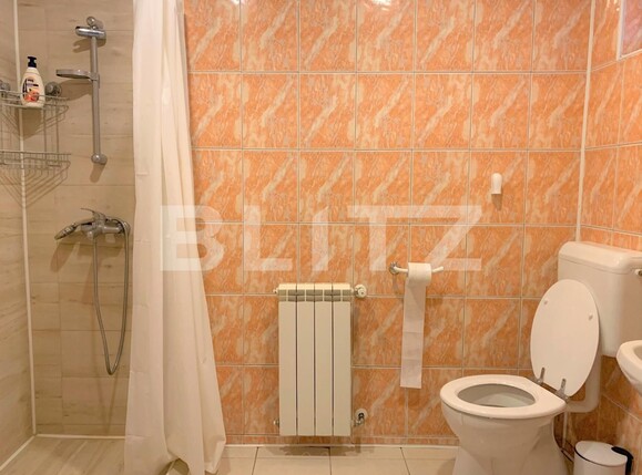 Casa de închiriat 3 camere Podgoria - 101629CI | BLITZ Arad | Poza11