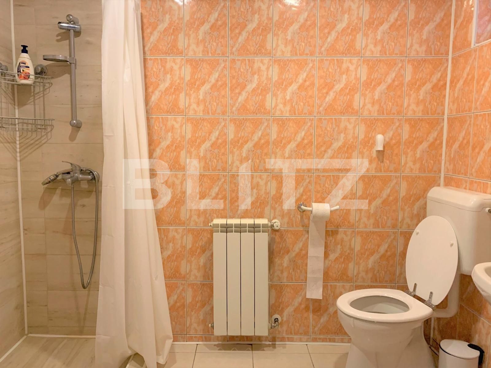 Casa de închiriat 3 camere Podgoria - 101629CI | BLITZ Arad | Poza11