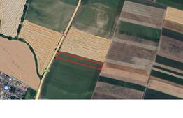 Oportunitate! Teren pretabil pentru constructie hale, 47 ml front stradal, 15.000 mp, Livada. 