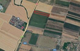 Oportunitate! Teren pretabil pentru constructie hale, 47 ml front stradal, 15.000 mp, Livada. 