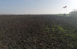 Teren intravilan agricol 5000 mp, front stradal 14 ml, Livada