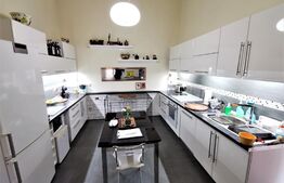 Apartament 3 camere, parter, curte comuna, 160 mp, Ultracentral