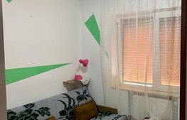 Garsoniera confort 3, parter, 17 mp, zona Cocorilor