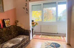 Apartament spatios, 3 camere, etaj intermediar, 65 mp, zona Fortuna 