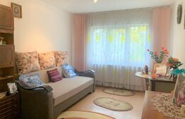 Apartament spatios, 3 camere, etaj intermediar, 65 mp, zona Fortuna 