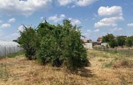 Casa de renovat/demolat, teren 1440 mp, Felnac