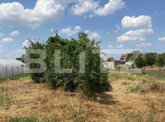 Casa de vânzare 3 camere Exterior Vest - 102539CV | BLITZ Arad | Poza6