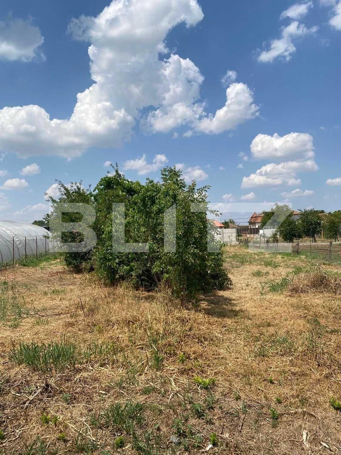 Casa de vânzare 3 camere Exterior Vest - 102539CV | BLITZ Arad | Poza6