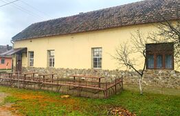 Comision 0! Spatiu comercial, 150 mp, terasa, localitatea Satu Mare