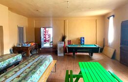 Comision 0! Spatiu comercial, 150 mp, terasa, localitatea Satu Mare