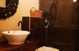 Casa cu 4 camere, 100 mp utili, teren cu 180 mp, Ultracentral