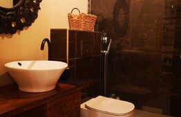 Casa cu 4 camere, 100 mp utili, teren cu 180 mp, Ultracentral