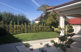 Casa superba, 4 camere, 175 mp, Aradul Nou