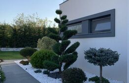 Vila moderna, 300 mp utili, teren de 1200 mp, Aradul Nou