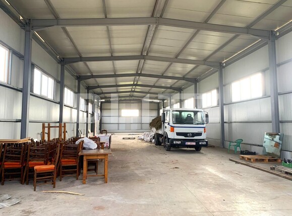 Spațiu industrial de închiriat Est - 103428SII | BLITZ Arad | Poza3