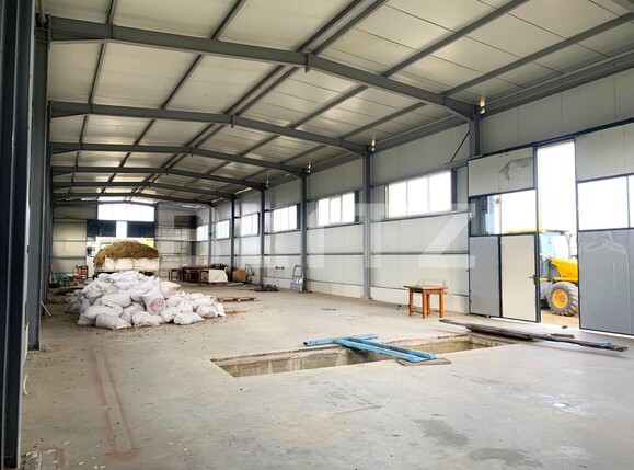 Spațiu industrial de închiriat Est - 103428SII | BLITZ Arad | Poza4