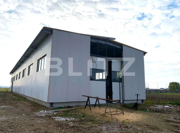 Spațiu industrial de închiriat Est - 103428SII | BLITZ Arad | Poza2