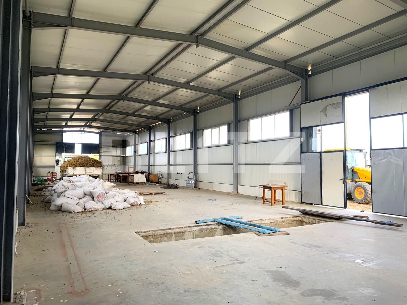 Spațiu industrial de închiriat Est - 103428SII | BLITZ Arad | Poza4