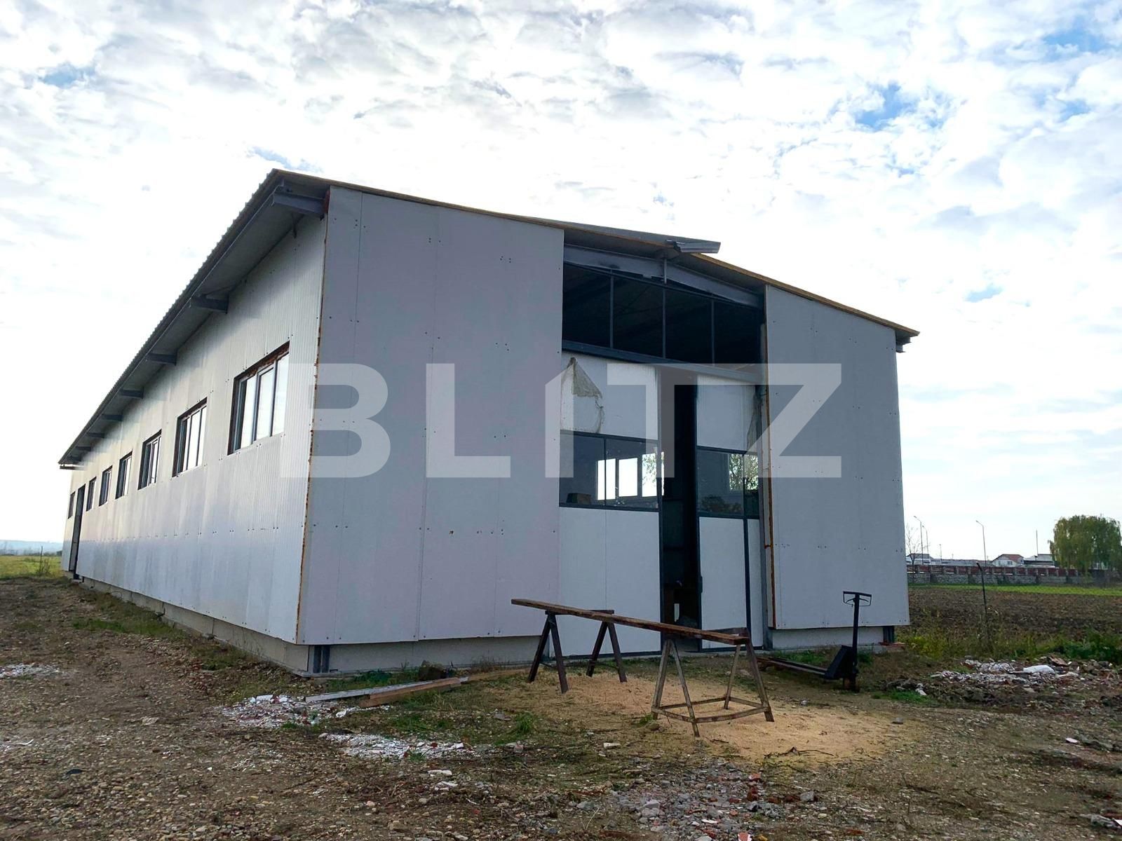 Spațiu industrial de închiriat Est - 103428SII | BLITZ Arad | Poza2