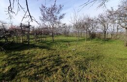 Casa de renovat/demolat, teren 1051 mp, front stradal 25 ml, Felnac