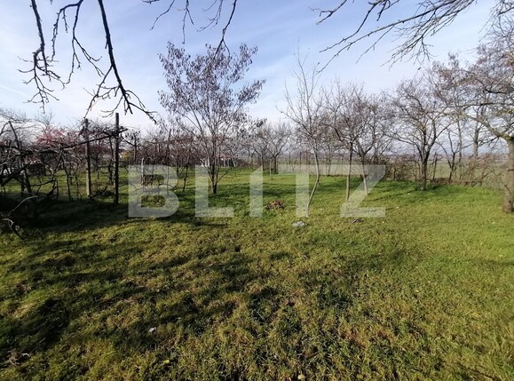 Casa de vânzare 3 camere Exterior Sud - 103854CV | BLITZ Arad | Poza7